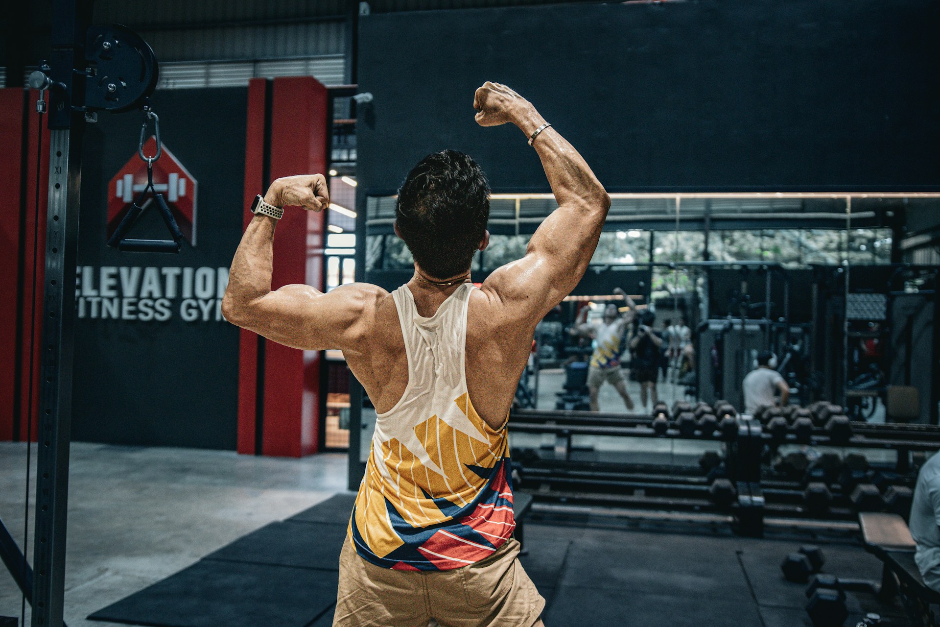 Velmandressia background