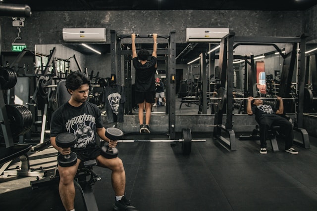 Velmandressia visual